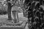 hřbitov Liboc | fotografie