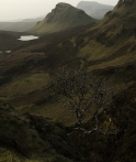 skotská krajina | fotografie